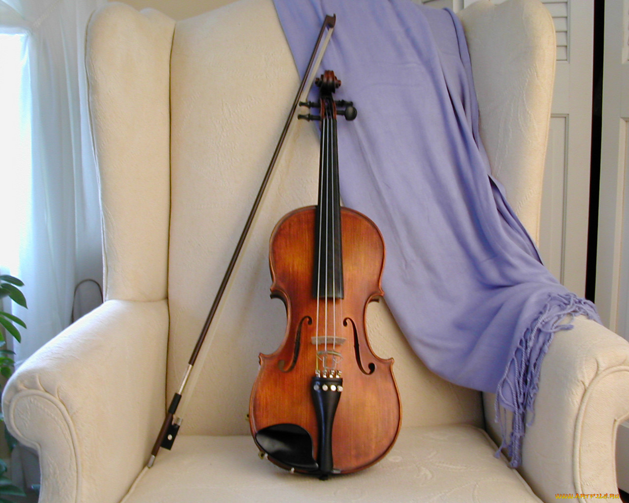 Фотография скрипки. Скрипка. Скрипка музыкальный инструмент. Изображение скрипки. Скрипка картинка.